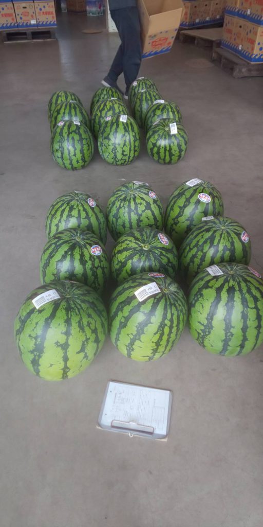 🍉あの食べ物で夏バテ知らず！さて何でしょう？🍉